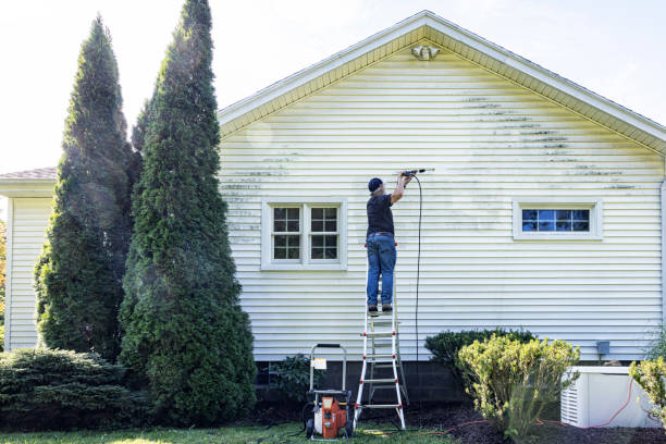 Best Fence Pressure Washing  in Port Gibson, MS