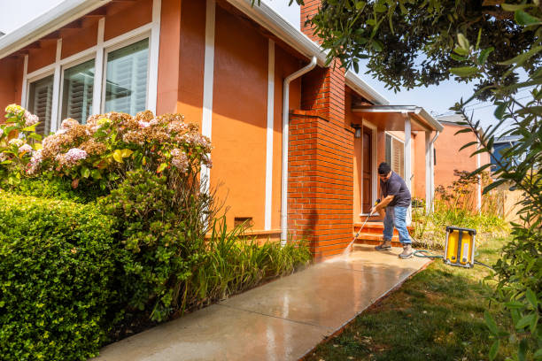 Best Affordable Power Washing  in Port Gibson, MS