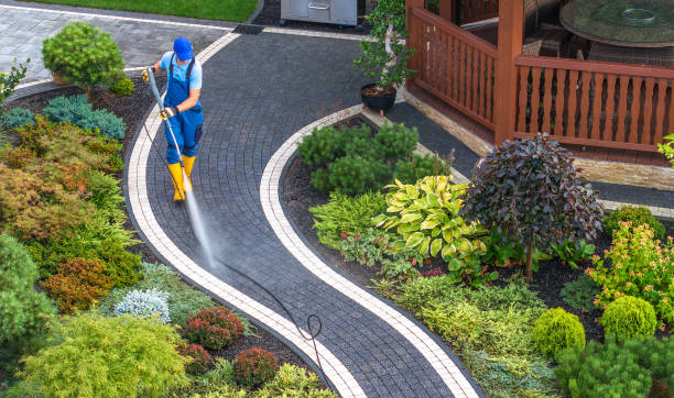Best Affordable Power Washing  in Port Gibson, MS